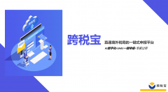 跨税宝上线 一个直通境外税局的一键申报平台